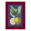 Xeden French Lemon On Navy II, reproduction d'art encadrée-1862702604-1862702643