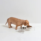 Small Clear Elevated Feeder with Silver Bowls