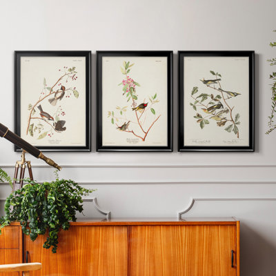" Pl. 194 Canadian Titmouse " 3 - Pieces