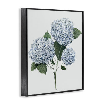 «Hydrangea Bulb Bulo», art giclée par Hannah Dawson