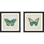 Daphne Brissonnet «Bohemian Wings Butterfly VA», impression sous verre