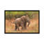 «Baby African Elephant», impression sur toile-33109093-72416031-72416032