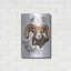 «Big Horn Sheep» par Barbara Keith, art mural en métal, 12 po x 16 po-541054590