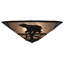 Rustic Lodge 3 - Light Flush Mount