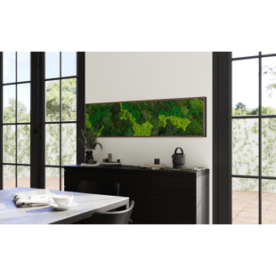Symbiotikwalls Moss Art. Mur vert. Mousse préservée. Mur de plantes