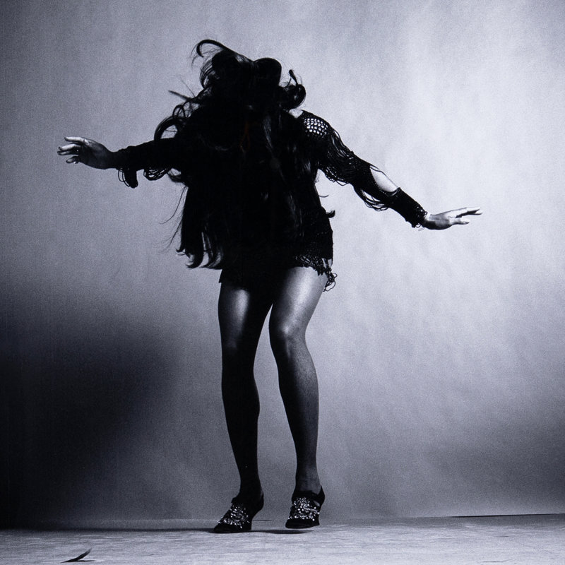 Tina Turner Print, 24" H x 24" W