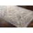 Shultz Oriental Indoor Rug-392864916