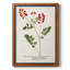 Nature imprimée Botanicals III, toile encadrée de qualité supérieure - prête à être accrochée-178641793