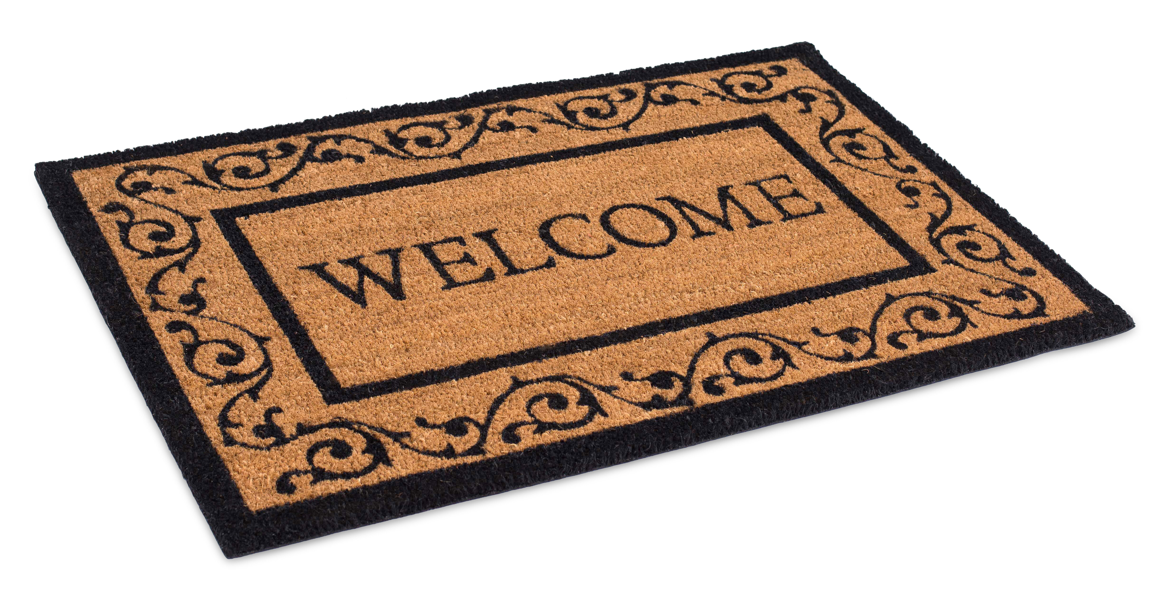 Alexarae Non-Slip Outdoor Door Mat Lark Manor Mat Size: Rectangle 2'6 x 4