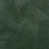 Feuille verte