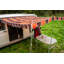 Tamberlyn Tent-723223223
