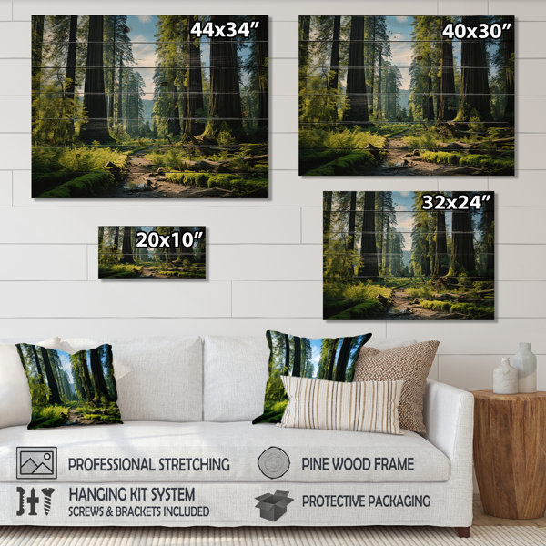 Loon Peak® Redwood Giants Tree Forest II | Wayfair