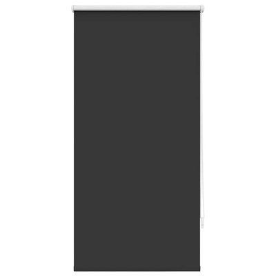 Room Darkening Roll-Up Shade