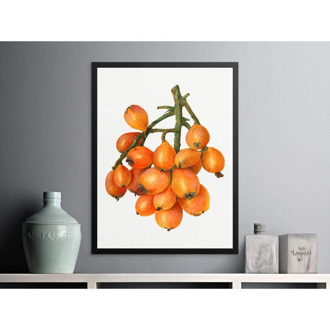No Frame Print