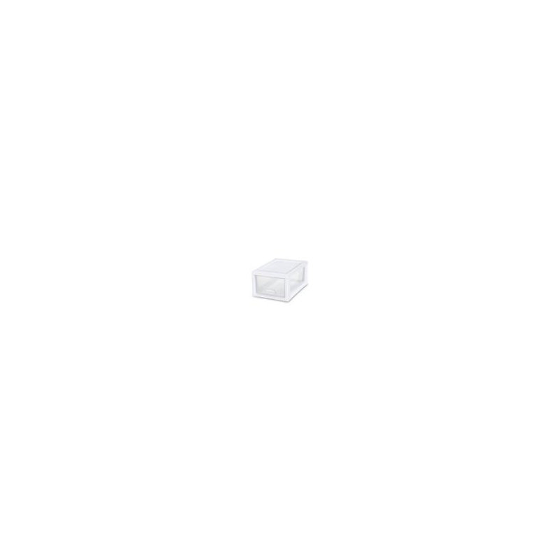 Sterilite Craft Case