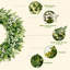 45cm (18 Inch) Artificial Eucalyptus Wreath for Front Door, Lifelike Spring & Summer Green Wreath with Berries, Indoor‑Outdoor Farmhouse Decoration for Window, Wall, Fireplace & Wedding Home Décor