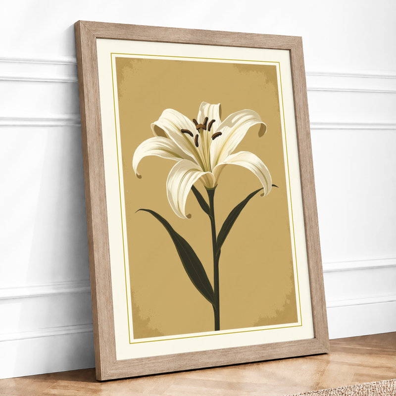 White Lily Study Botanical - Print, Oak, A3 - 42.0 x 29.7 cm