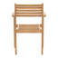 Verdant Outdoor Dining Chair