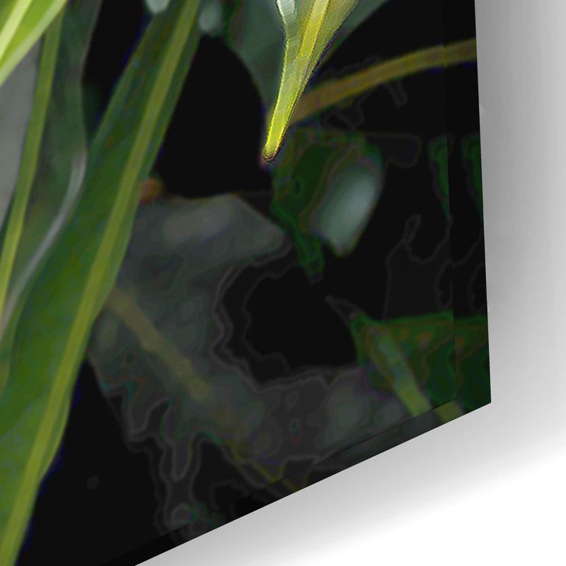  'Tree Python' by Tim Jeffs Acrylic Glass Wall Art, 16" H x 24" W
