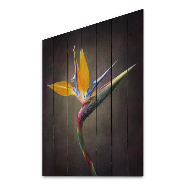 Fleur de jungle tropicale Strelitzia - Panneaux d'art mural traditionnels en bois - Bois de pin naturel