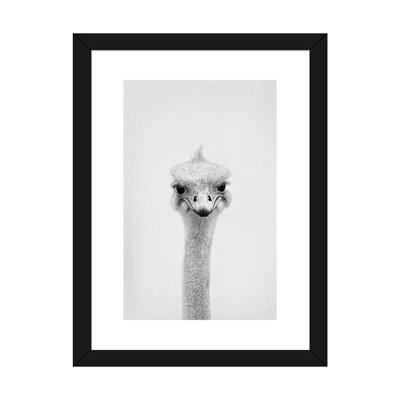 " Ostrich " by Sisi & Seb