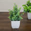 8 po Mini plantes artificielles en pot - ensemble de 4