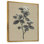 «Grey Minimalisme Vintage Solitude Plant», reproduction d'art sur toile encadrée, art mural botanique gris