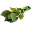 Plantes d'aquarium en soie, décorations en soie artificielle pour aquarium de 12 pouces (vert, paquet de 2)