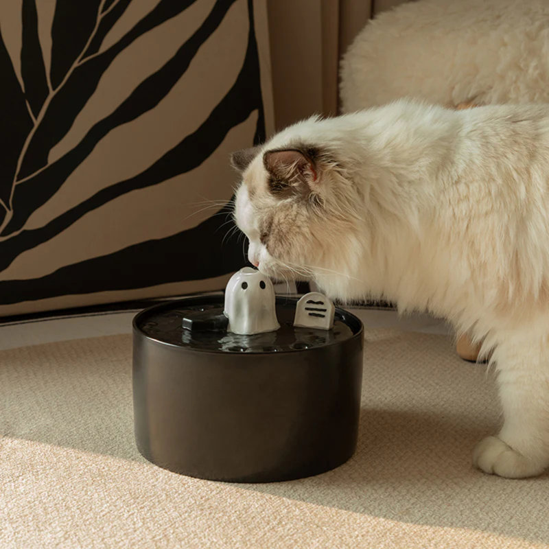 Ensemble de fontaine d'eau et chat gothique