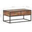 Quackenbush Frame Coffee Table with Storage