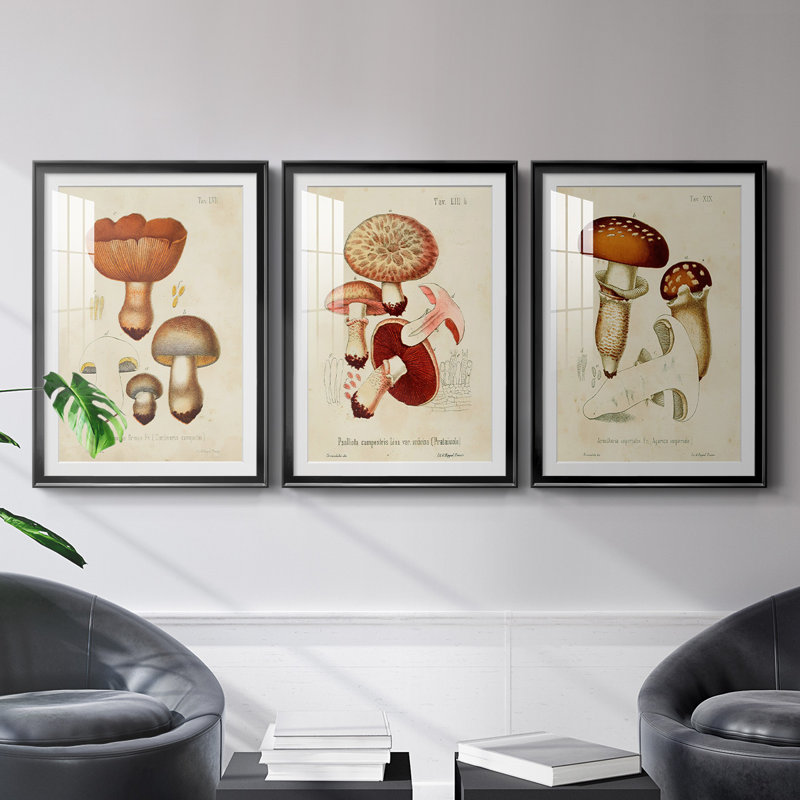Mushroom Variétés I - Ensemble de 3 cadres photo, Cadre noir, H 37 po x l 24,5 po x P 2,5 po