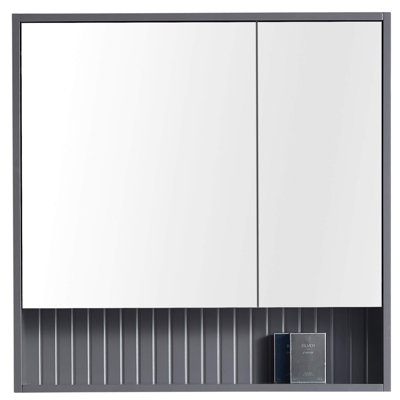 Asahel 27.75'' W 30'' H Surface Framed Medicine Cabinet Mirror 2 Fixed