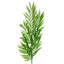Plastic, Silk Artificial Arrangement