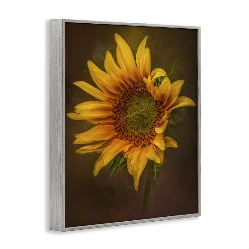 Art de giclée tournesol de pétales de curling par Kelley Parker, Estampe numérique Farmhouse, H 14 po x l 11 po