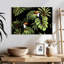 Toucan Brampt rétro-107696546