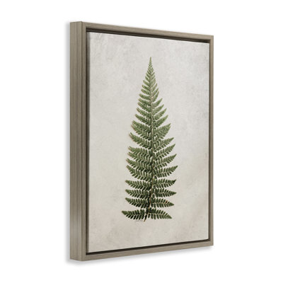 Detailed Fern Leaf Framed Floater Canvas Wall Art by Jennifer Rigsby