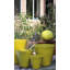 Pots de fleurs cylindriques coniques en céramique émaillée moyenne, lot de 4 - Intérieur/Extérieur-1043963751
