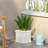 MGO PLANTER