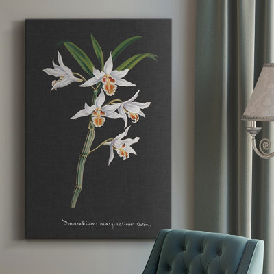 " Orchid On Slate IV "