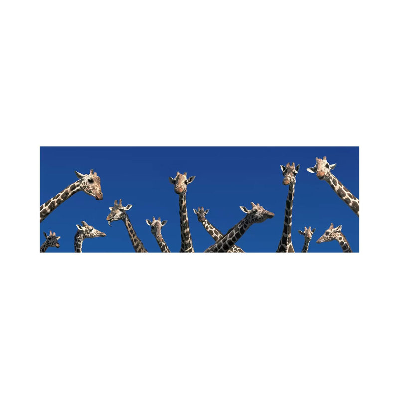 Curious Giraffes (Concept) Kenya Africa - Wrapped Canvas Panoramic Print, 30.48 cm H x 91.44 cm W x 1.91 cm D