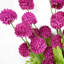 Artificial Arrangement-106401564