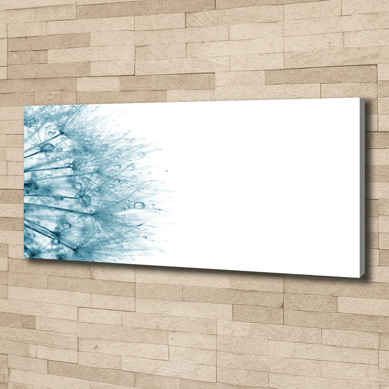 Dandelion - Wrapped Canvas Print