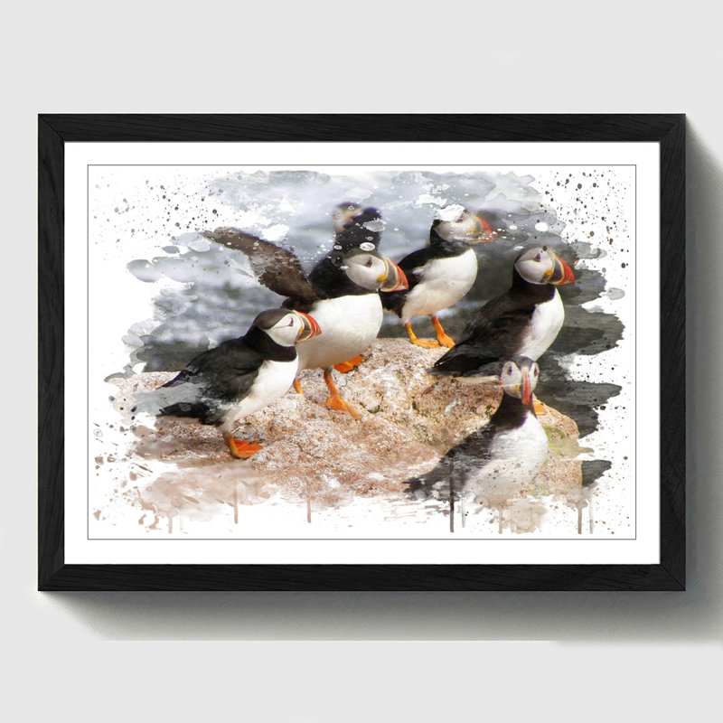 Atlantic Puffin Birds - Wall Art, 45cm H x 62cm W, Framed Picture
