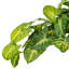  Buisson de syngium artificiel vert 11 po, 2 par sac