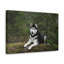 No Frame Print on Canvas-1129166118