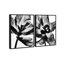 Close Up Set Floral & Botanical Canvas Print by Oliver Gal, Black Frame, 10 x 15