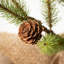 Stacy Faux Pine Tree in Wicker/Rattan Pot-1443271749