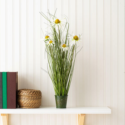 Herbe verte et marguerites artificielles en pot.