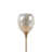 Taelyn 67'' Torchiere Floor Lamp