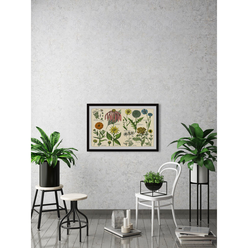 Southern Globethistle - Single Picture Frame Painting, 38cm H x 45cm W x 3.81cm D